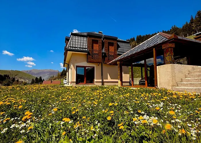 Luxury Villa Kadic