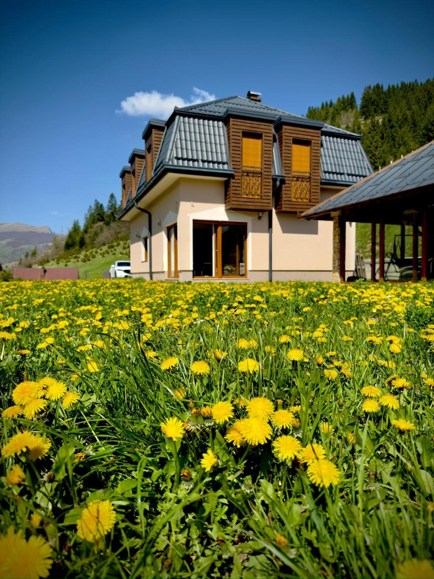 Luxury Kadic Villa *